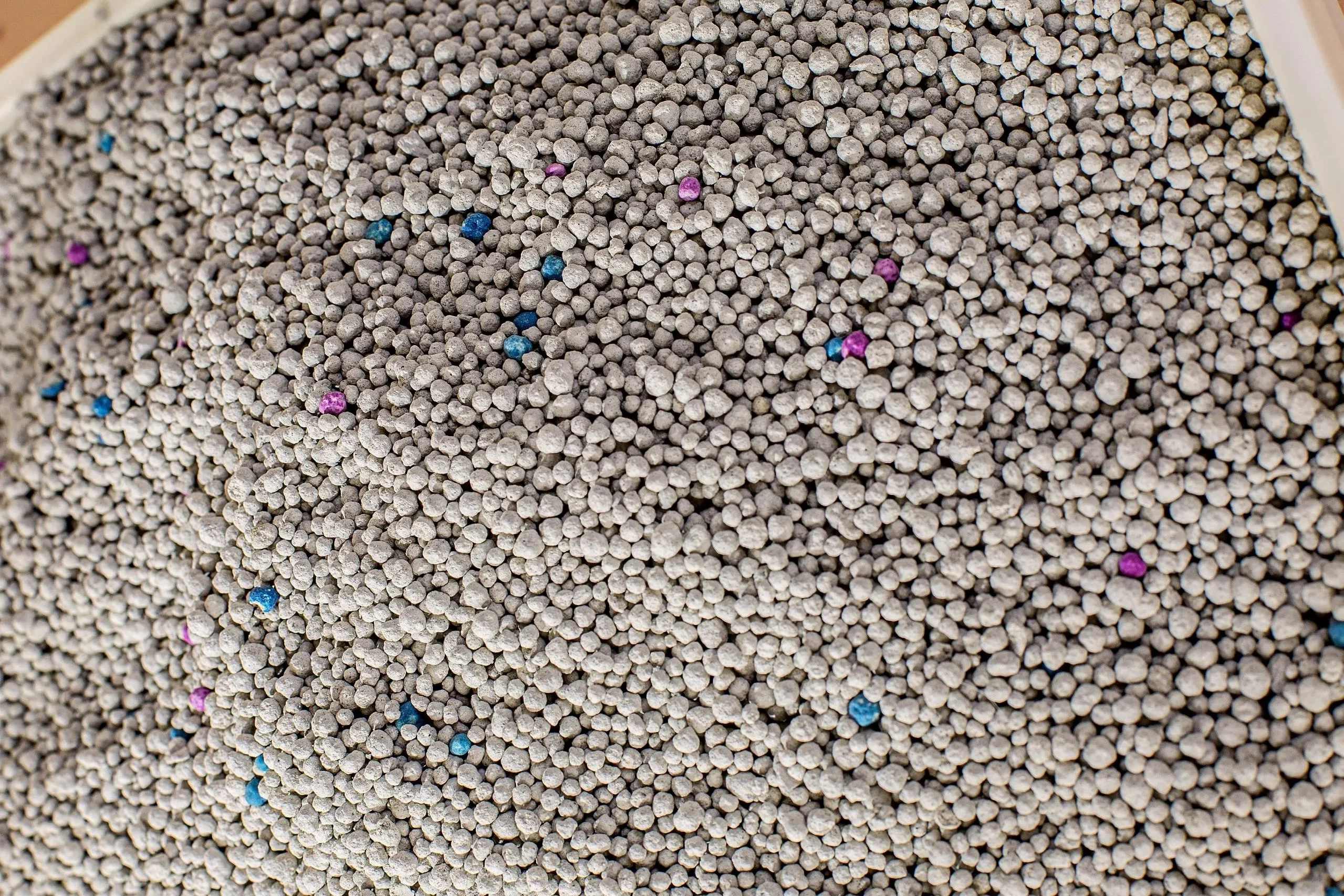 cat litter 30