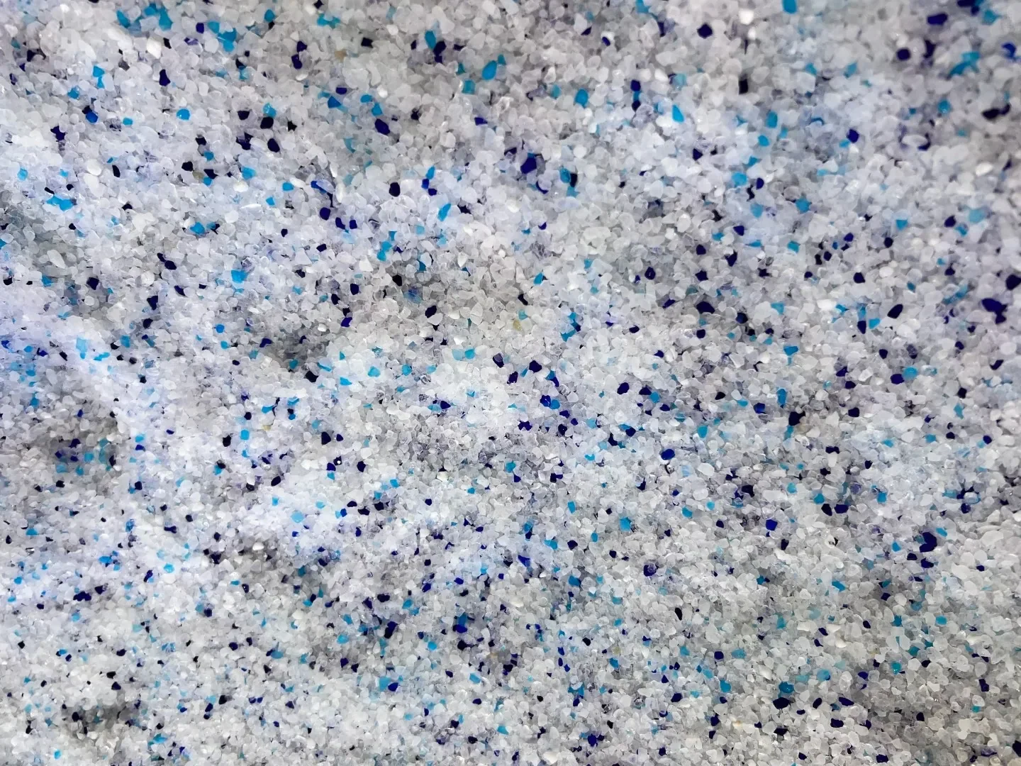 cat litter 6